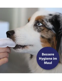 Canosept Zahnpflege Finger-Pads für Hunde