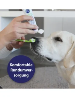 Canosept Zahnpflege-Set für Hunde