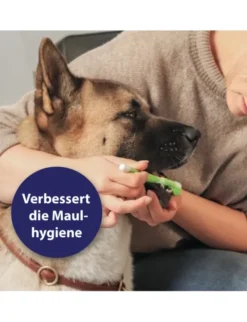 Canosept Zahnpflege-Set für Hunde