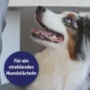 Canosept Zahnpflege Spray für Hunde 100ml