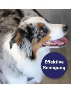 Canosept Zahnpflege Spray für Hunde 100ml
