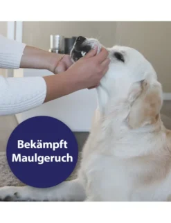 Canosept Zahnpflege Spray für Hunde 100ml