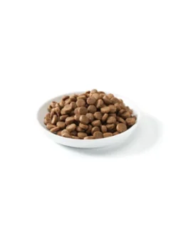 defu Bio Adult Geflügel 12,5kg