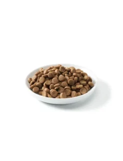 defu Bio Senior Geflügel 12,5kg