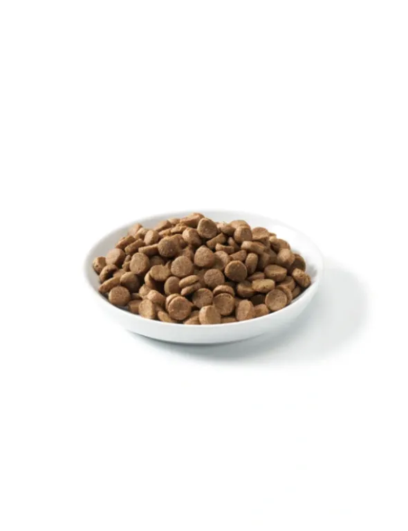 defu Bio Senior Geflügel 12,5kg