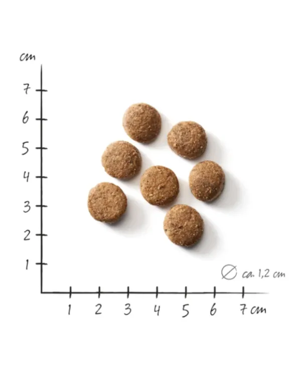 defu Bio Senior Geflügel 12,5kg