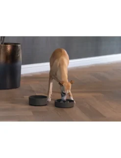 Designed by Lotte Anti-Schling-Napf Pom für Hunde grau 800 ml