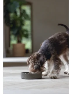Designed by Lotte Anti-Schling-Napf Pom für Hunde grau 800 ml
