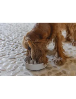 Designed by Lotte Anti-Schling-Napf Pom für Hunde beige 800 ml