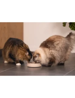 Designed by Lotte Anti-Schling-Napf Pom für Katzen beige
