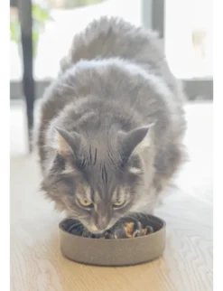Designed by Lotte Anti-Schling-Napf Pom für Katzen grau