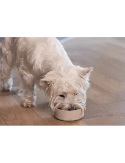 Designed by Lotte Napf Noor für Hunde beige 300 ml