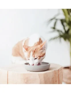 District 70 BAMBOO Cat Bowl beige 12cm