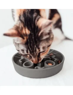 District 70 BAMBOO Cat Slow Feeder anthrazit 13.5cm