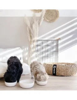 District 70 BAMBOO Dog Bowl beige S
