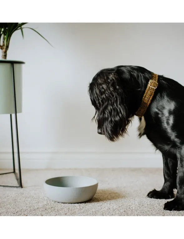 District 70 BAMBOO Dog Bowl hellblau S