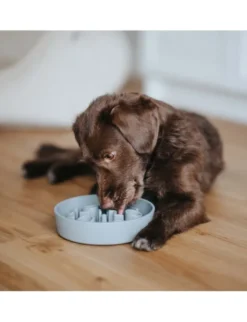 District 70 BAMBOO Dog Slow Feeder hellblau 17 cm