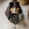 District 70 BAMBOO Dog Slow Feeder grau M