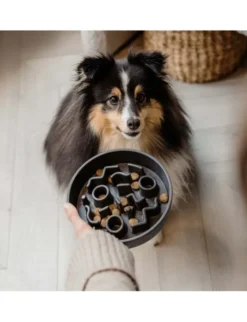 District 70 BAMBOO Dog Slow Feeder grau M