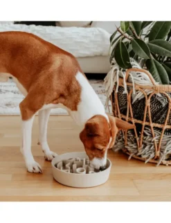 District 70 BAMBOO Dog Slow Feeder beige M