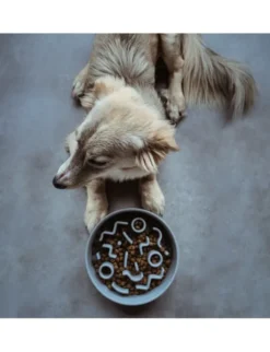 District 70 BAMBOO Dog Slow Feeder blau M