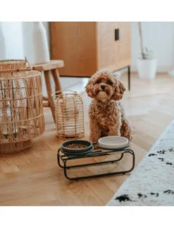 District 70 Futterständer Butler für Hunde schwarz S