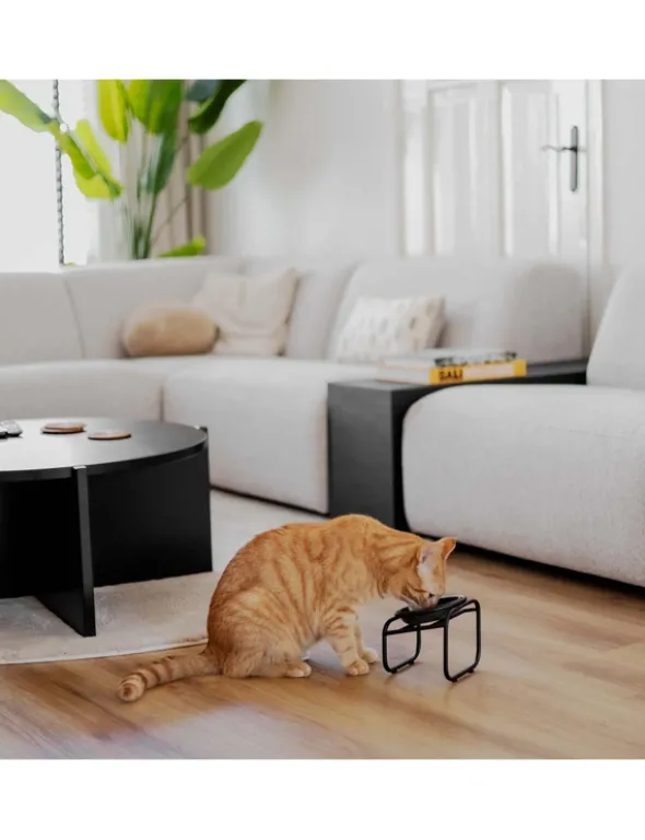 District 70 Futterständer Butler für Katzen schwarz XXS