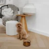 District 70 Glas Napf Dawn für Hunde hellbraun S