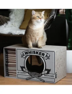 District 70 Kratzpappe Whisker schwarz