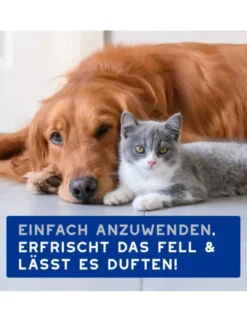 DOUXO SPA Feuchttücher