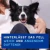DOUXO SPA Mousse ohne Ausspülen für Hunde 150ml