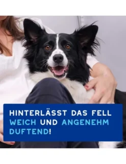 DOUXO SPA Mousse ohne Ausspülen für Hunde 150ml