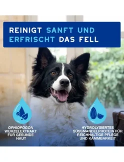DOUXO SPA Mousse ohne Ausspülen für Hunde 150ml