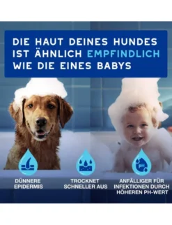 DOUXO SPA Mousse ohne Ausspülen für Hunde 150ml