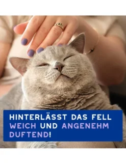 DOUXO SPA Mousse ohne Ausspülen für Katzen 150ml