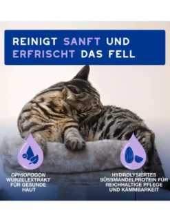 DOUXO SPA Mousse ohne Ausspülen für Katzen 150ml