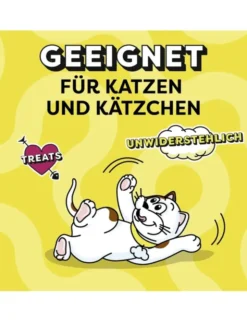 Dreamies Lachs 60g