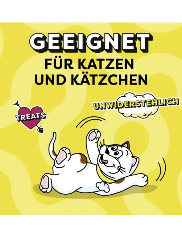 Dreamies Lachs 60g