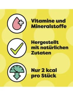 Dreamies Lachs 60g