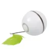 EBI Ball chaser grün, weiß