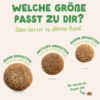 Edgard & Cooper Adult Lamm 2,5kg