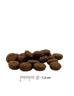 entoVITAL Adult Insekten 125g