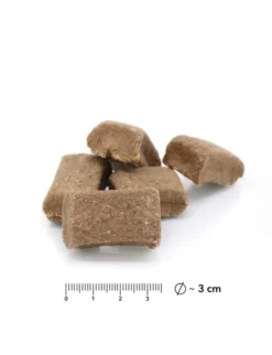 entoVITAL Cubes Insekten 70g