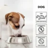 entoVITAL Hypoallergen Insekten 3kg