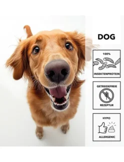 entoVITAL Insektenschleckpaste für Hunde Insekten 100g