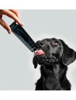 entoVITAL Insektenschleckpaste für Hunde Insekten 100g