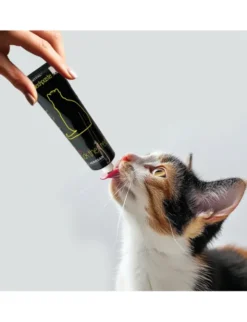 entoVITAL Insektenschleckpaste für Katzen Insekten 100g