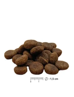 entoVITAL Senior Insekten 125g