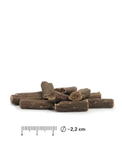 entoVITAL Soft Snack Hund Insekten 100g