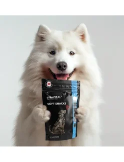 entoVITAL Soft Snack Hund Insekten 100g
